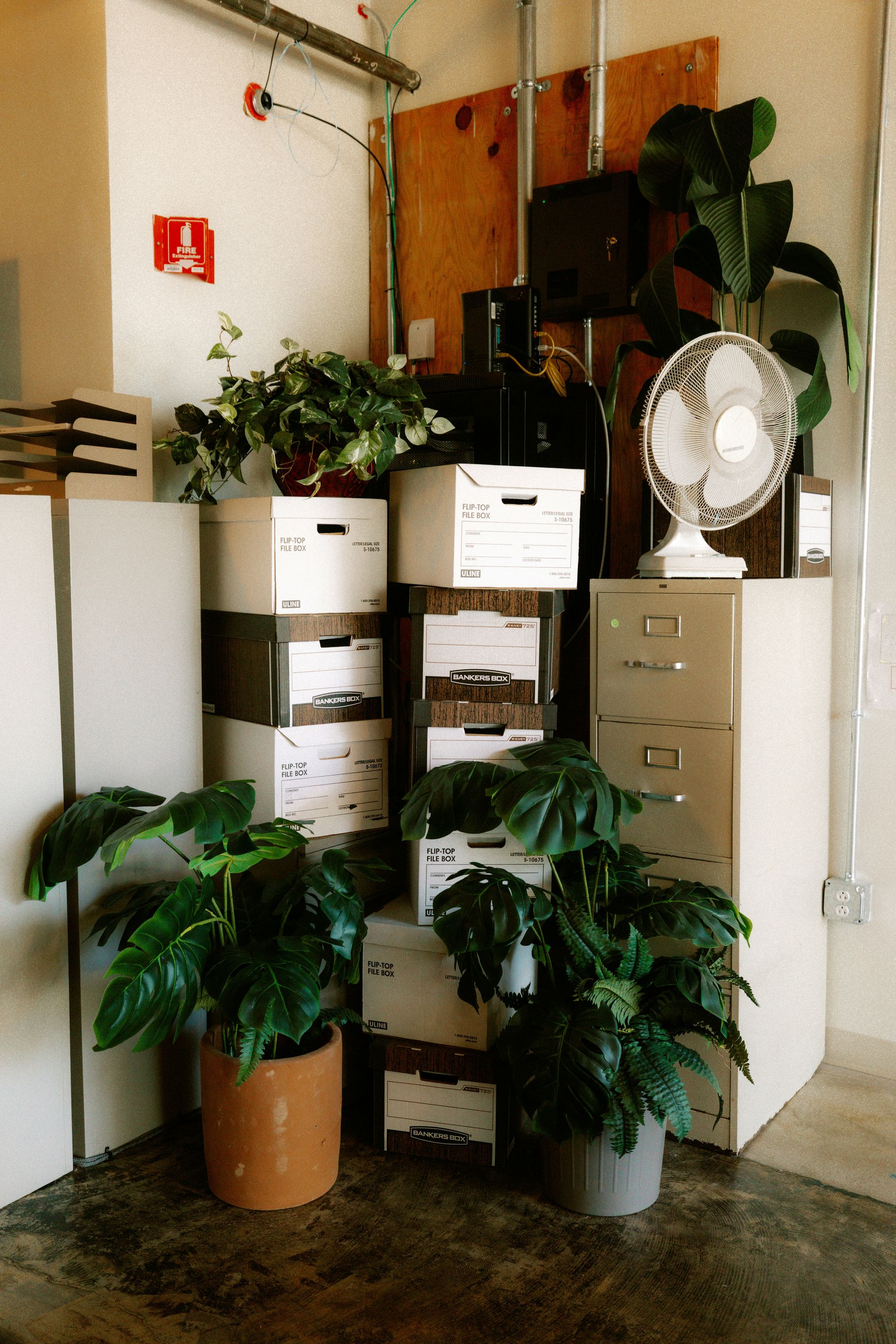 Office corner with plants, boxes, and a fan